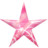 明星粉红 Star pink